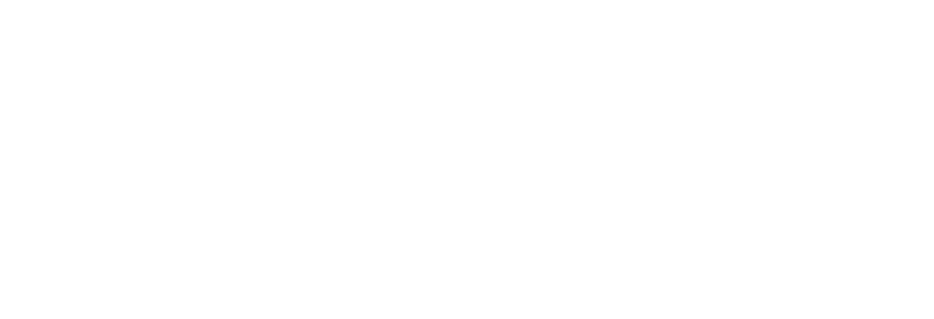 VOOM.ceo consulting et coaching